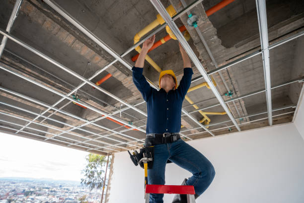 Best Commercial Plumbing Services  in Paisley, FL