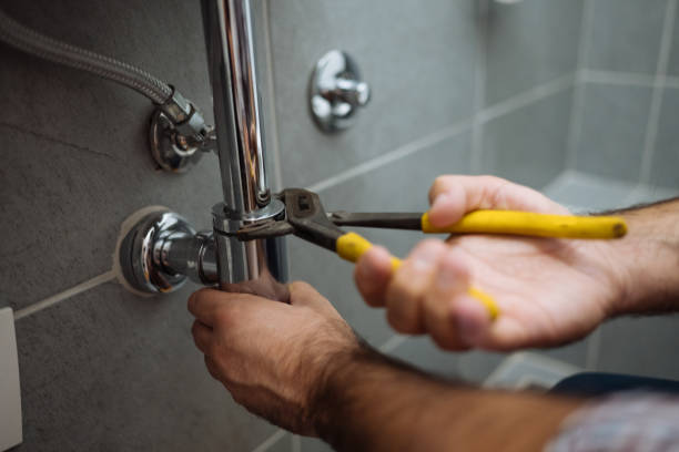 Best Septic Systems  in Paisley, FL