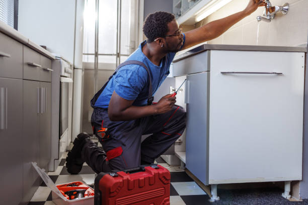 Best Clogged Drain Plumber  in Paisley, FL