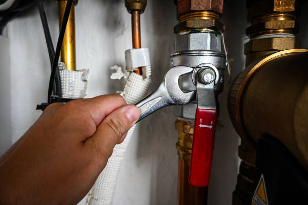 Best Same-Day Plumbing Service  in Paisley, FL